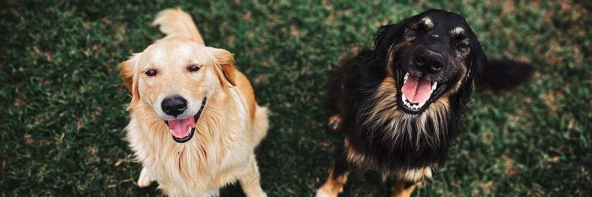 Permalink zu:Unsere Trainingsangebote