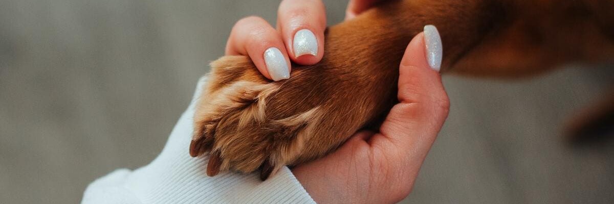 Permalink zu:Über uns – Unsere Philosophie