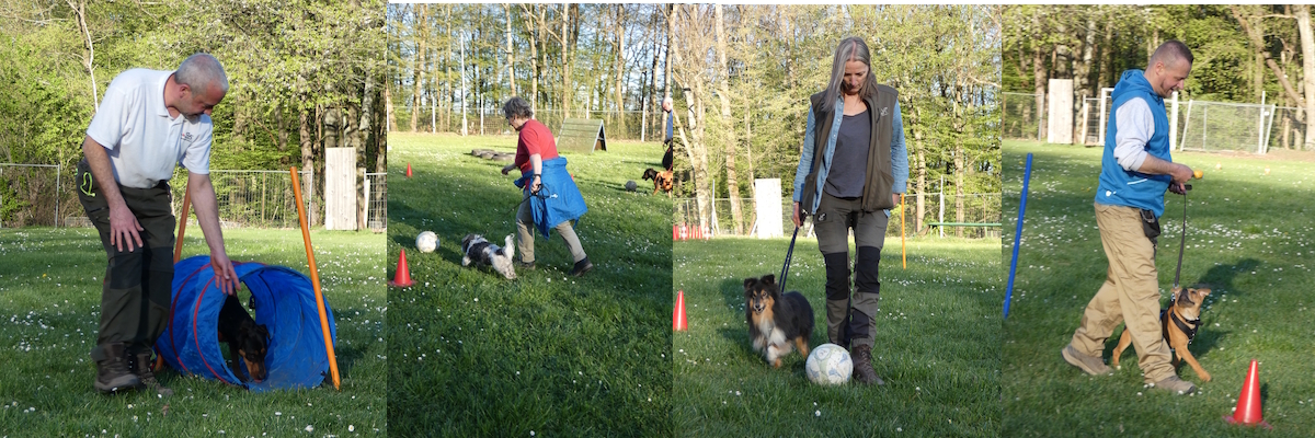 Permalink zu:Spaßtraining